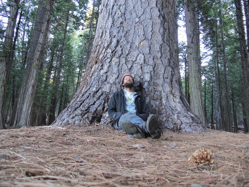 Marc with Ponderosa Pine